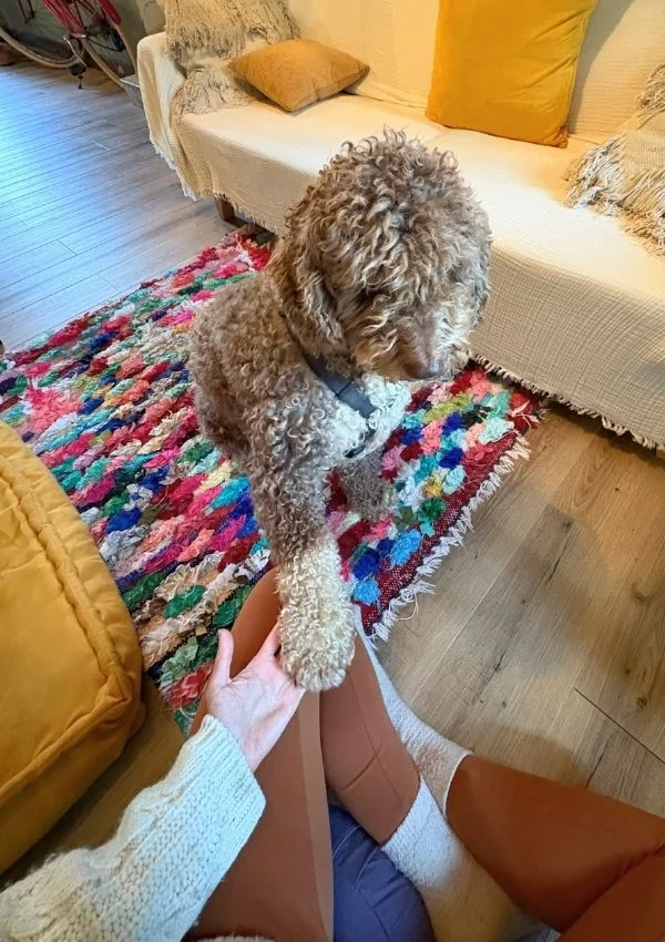 Oso perro terapeuta en Hernani